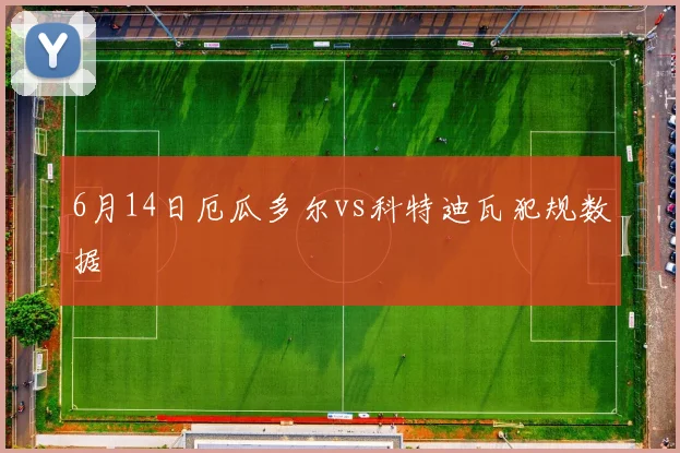 6月14日厄瓜多尔vs科特迪瓦犯规数据