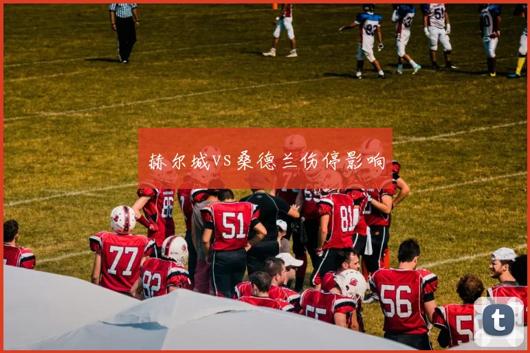 赫尔城vs桑德兰伤停影响