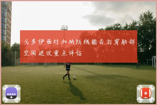 戈多伊面对加纳防线能否打穿肋部空间进攻重点评估