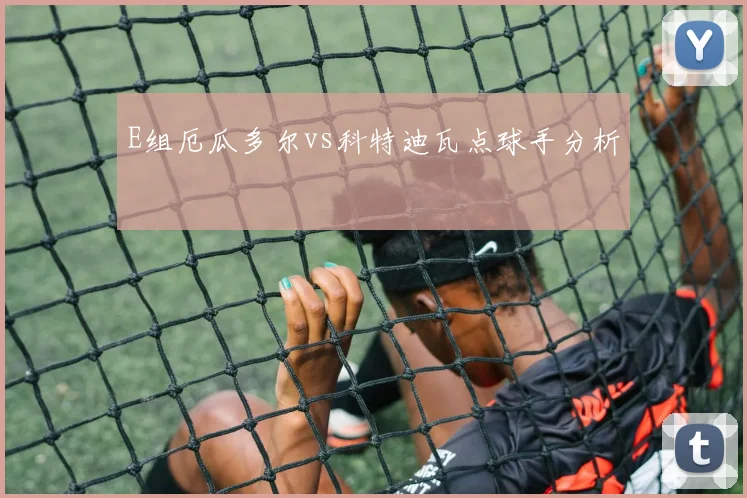 E组厄瓜多尔vs科特迪瓦点球手分析
