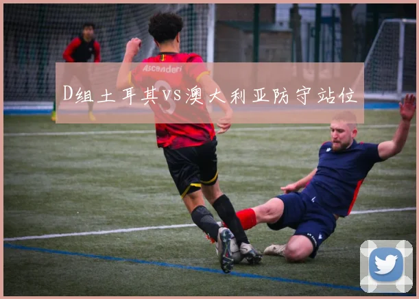 D组土耳其vs澳大利亚防守站位