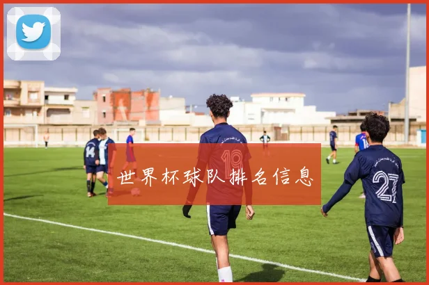 世界杯球队排名信息