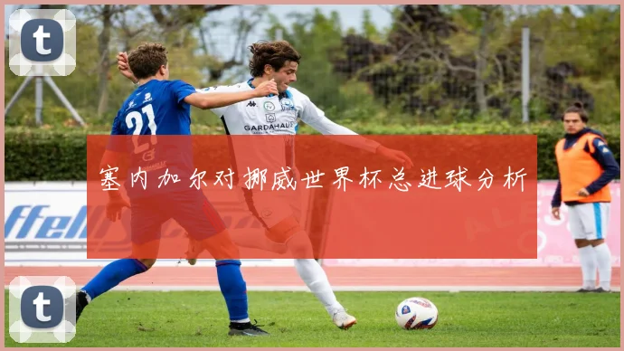 塞内加尔对挪威世界杯总进球分析